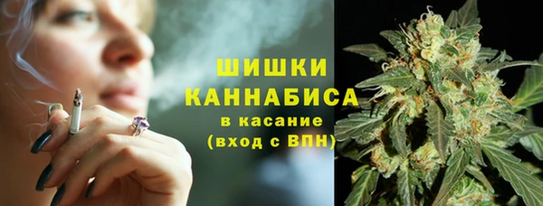 СК Балахна