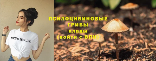гидра Баксан