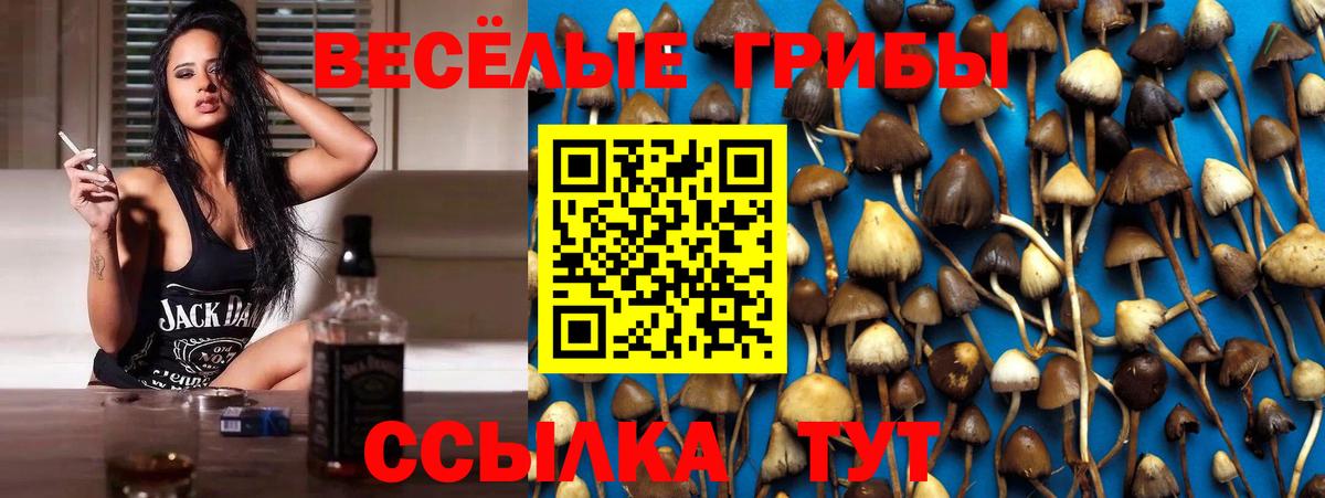 Псилоцибиновые грибы MAGIC MUSHROOMS Воскресенск