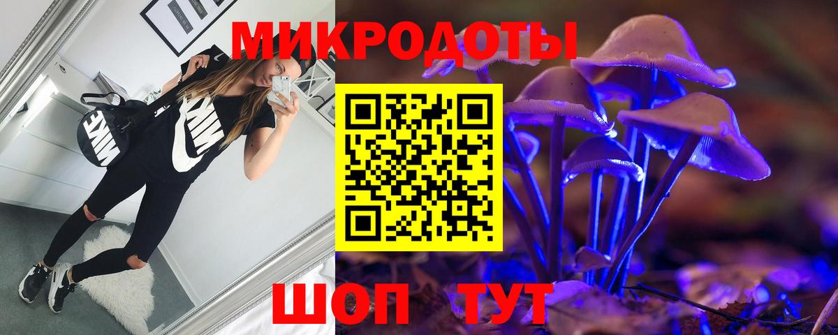 Псилоцибиновые грибы Psilocybine cubensis Воскресенск